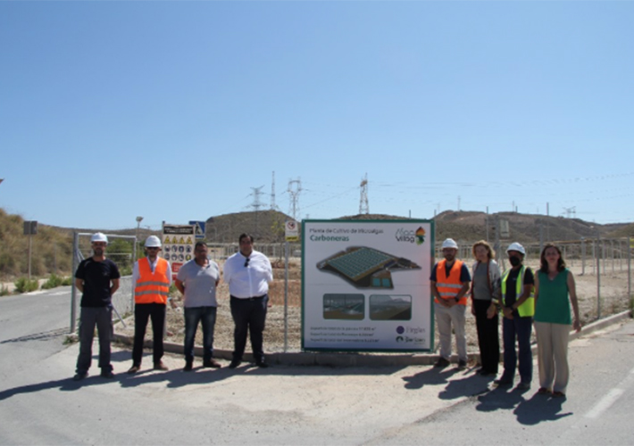 Foto AVANZAN LAS OBRAS DE ALGAVILLAGE PARA LA CONSTRUCCIÓN DE UNA PLANTA DE MICROALGAS EN LOS TERRENOS DE LA CENTRAL TÉRMICA DE ENDESA